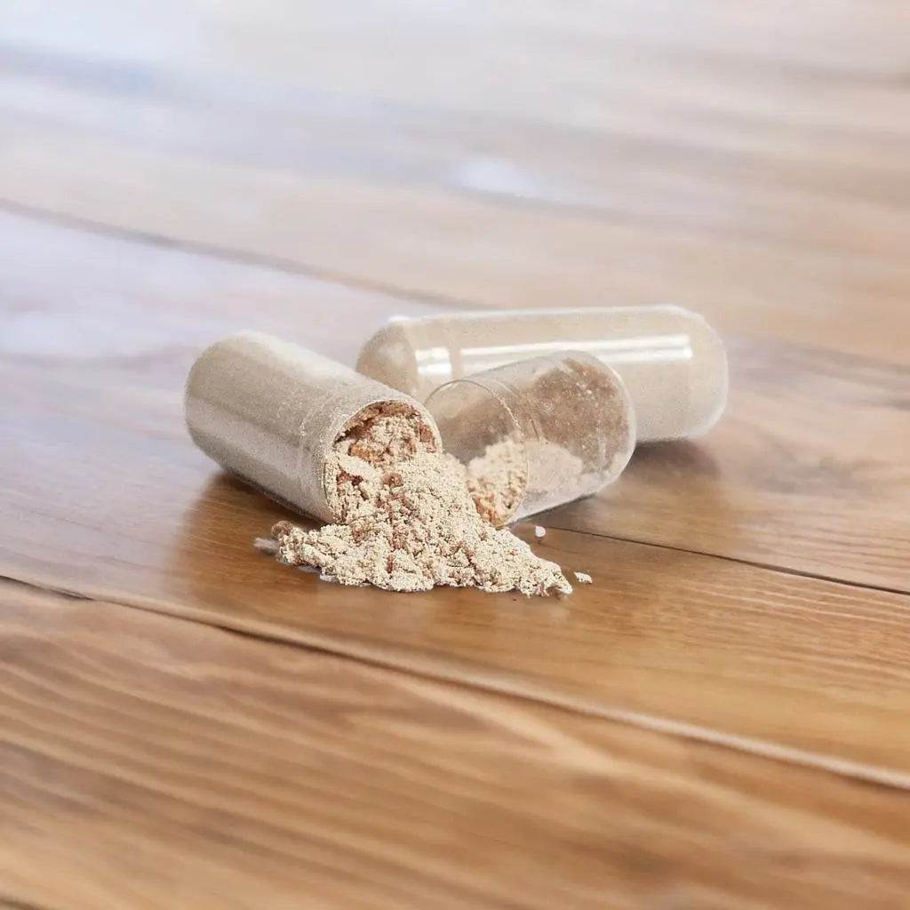 REISHI MUSHROOM - indexvitamins.com # #